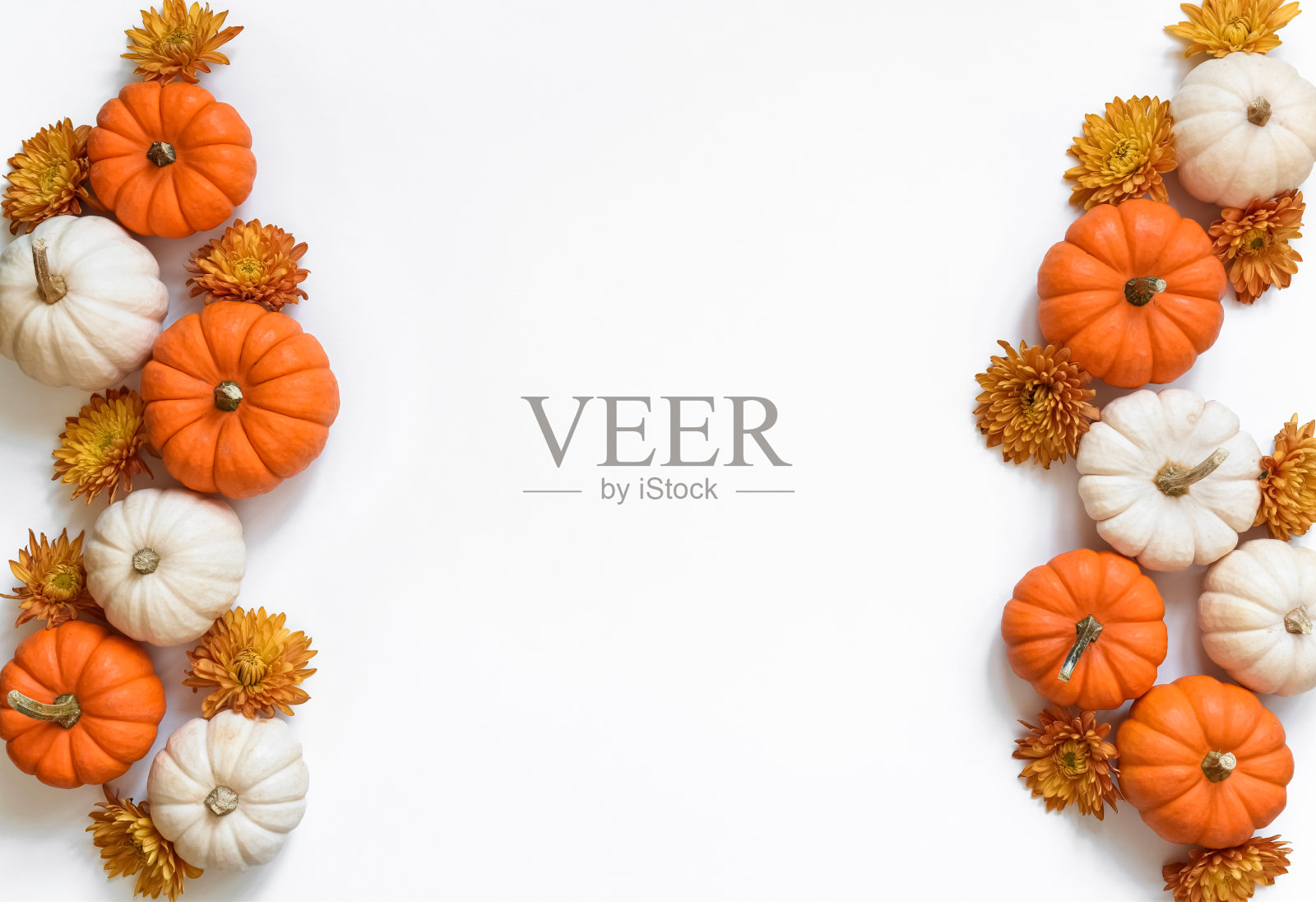 白色和橙色的迷你南瓜和秋天的菊花照片摄影图片