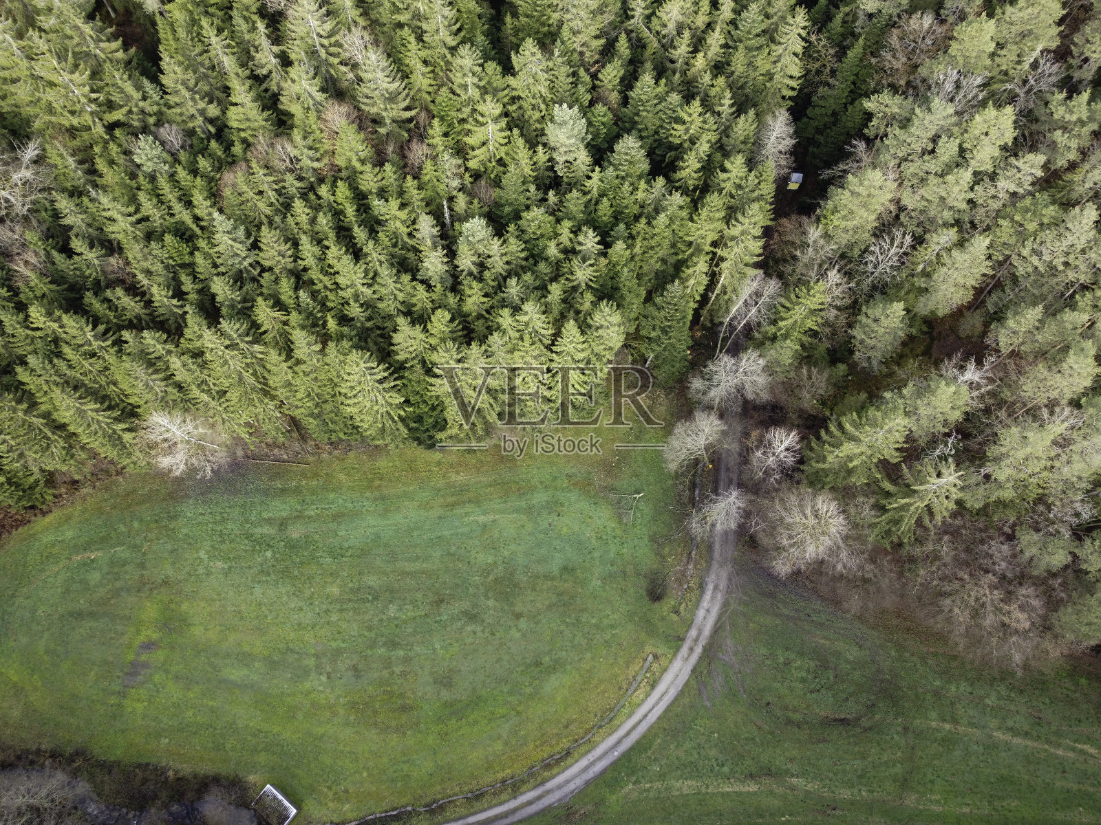 巴伐利亚森林的航拍照片，密密麻麻的针叶树和一片绿色的空地照片摄影图片