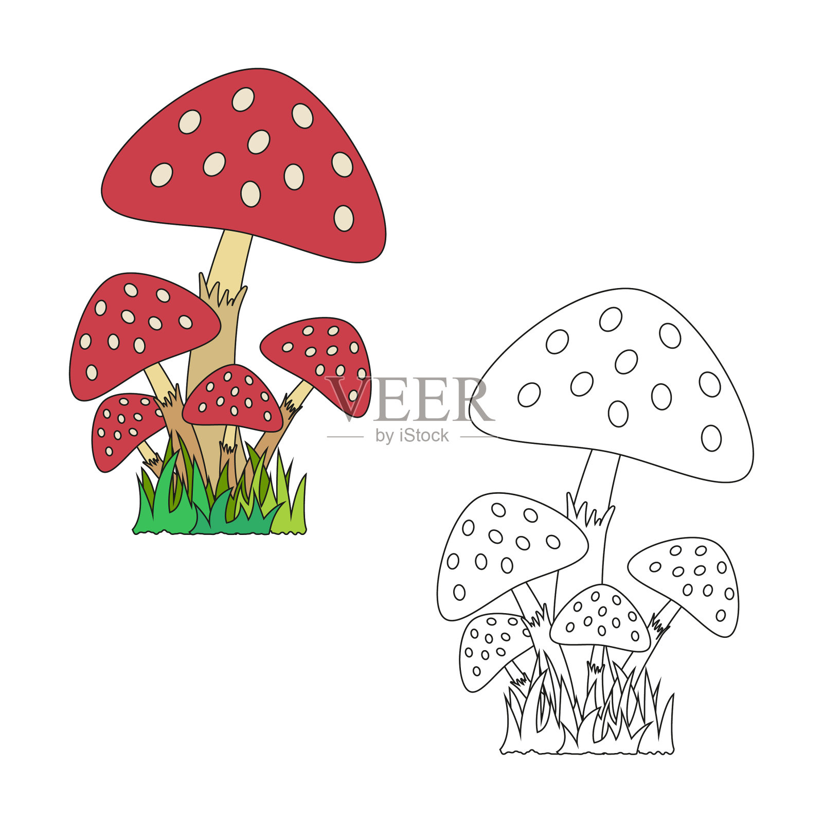 蘑菇飞木耳与绿草插画图片素材