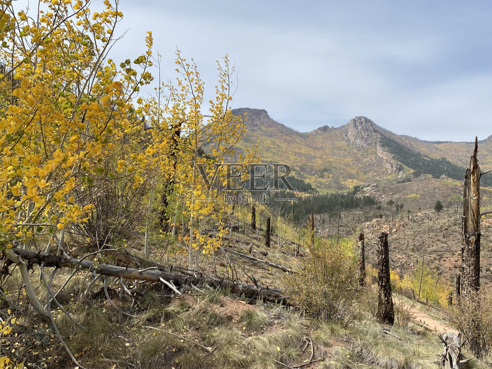 下降照片摄影图片