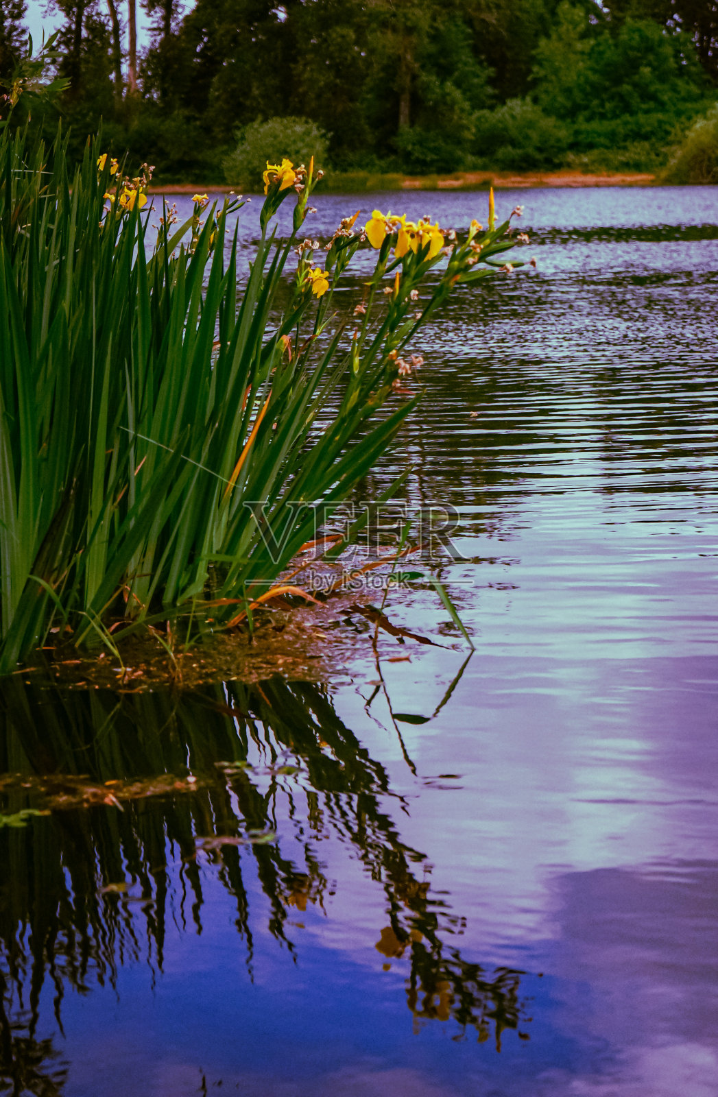 反射照片摄影图片