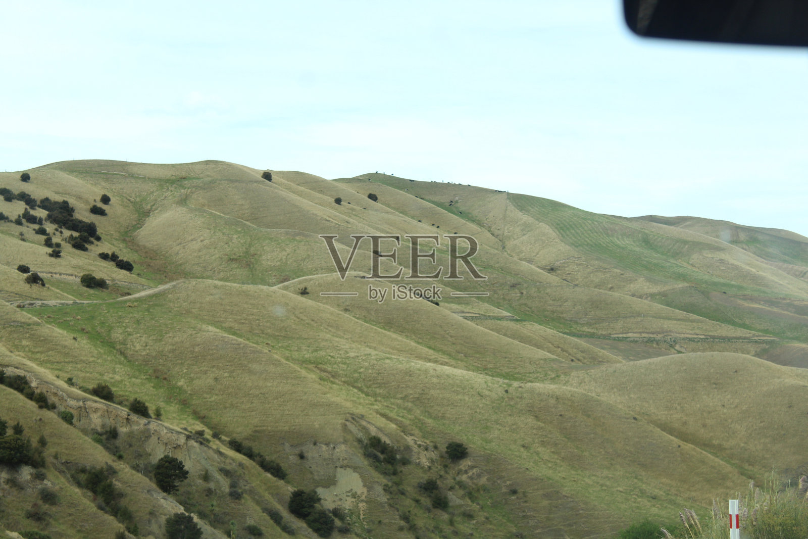 坎特伯雷，新西兰照片摄影图片