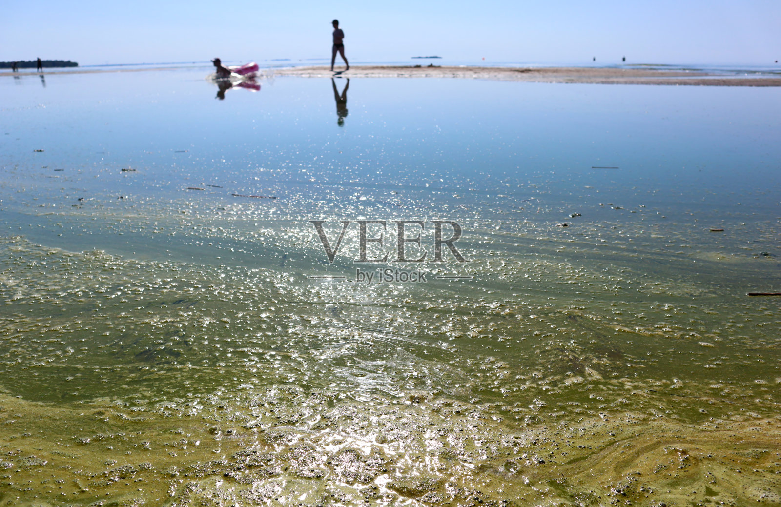 沙滩和沙滩上的水被蓝绿藻(蓝藻)污染。照片摄影图片