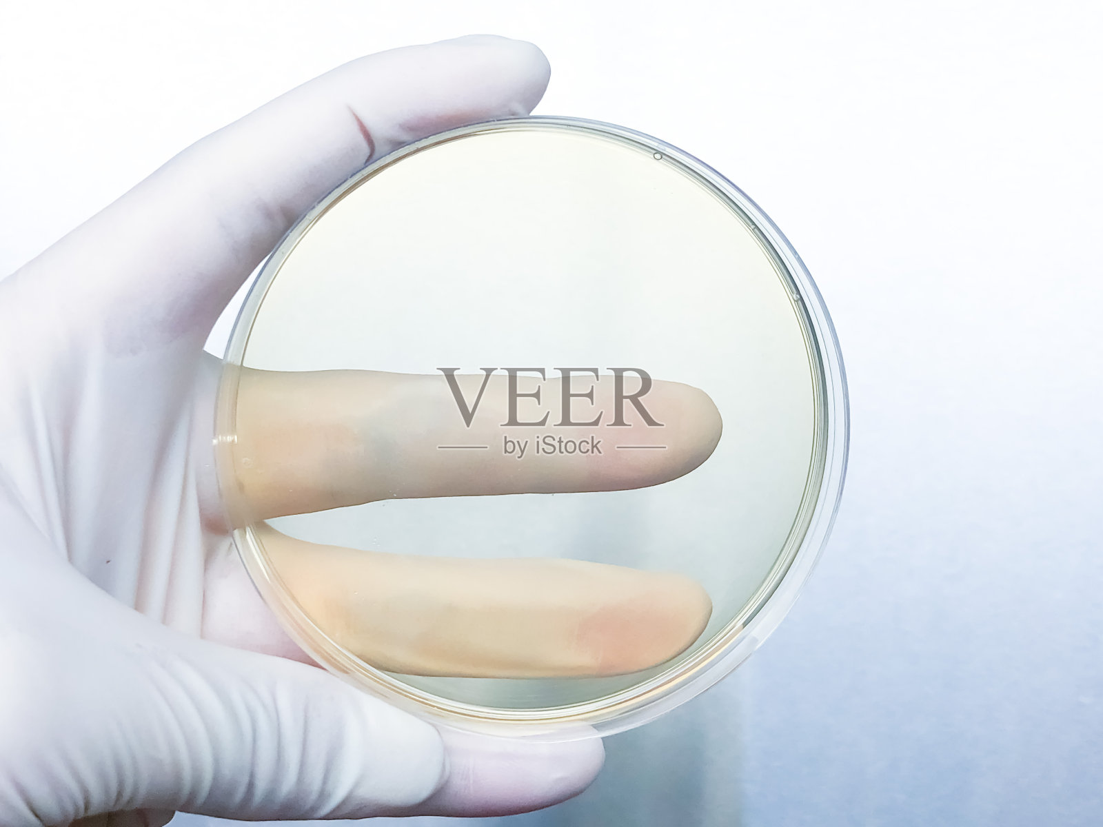 微生物实验人员正在现代化的实验室里进行实验。照片摄影图片