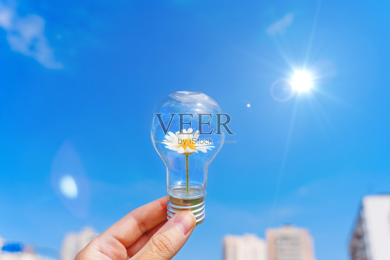 灯泡与开花雏菊手对着阳光明媚的天空照片摄影图片