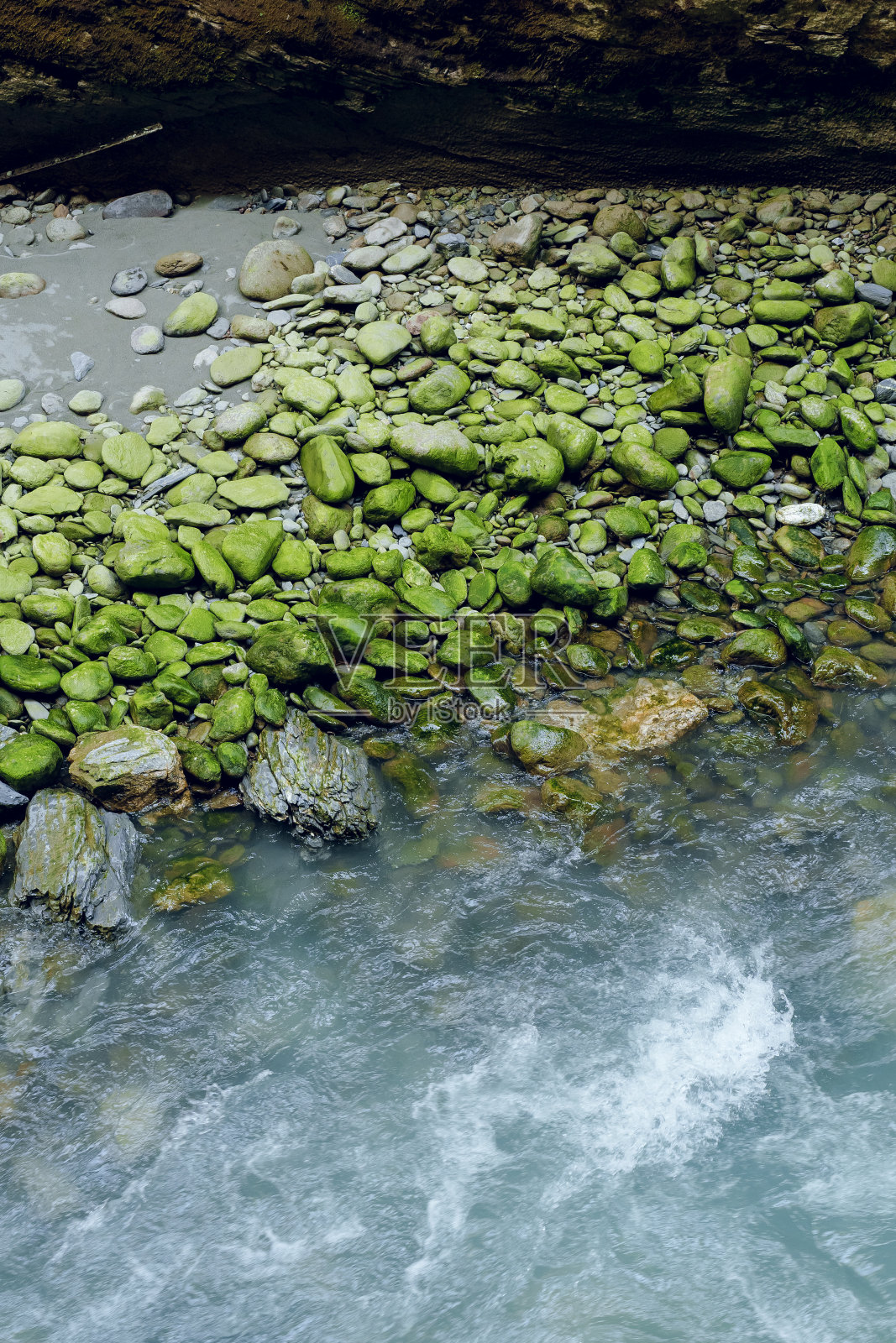Aare河边长满青苔的绿色岩石。照片摄影图片