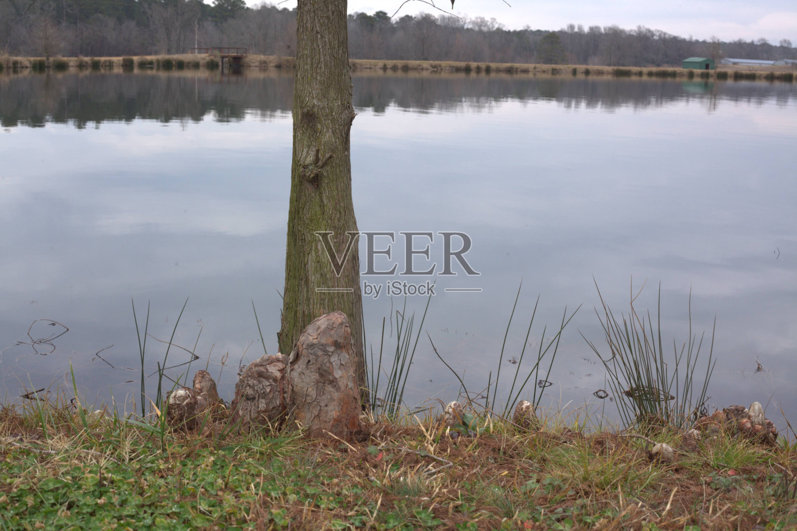 湖照片摄影图片