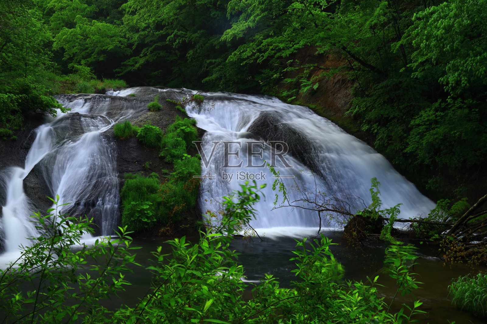 夏天的山涧照片摄影图片