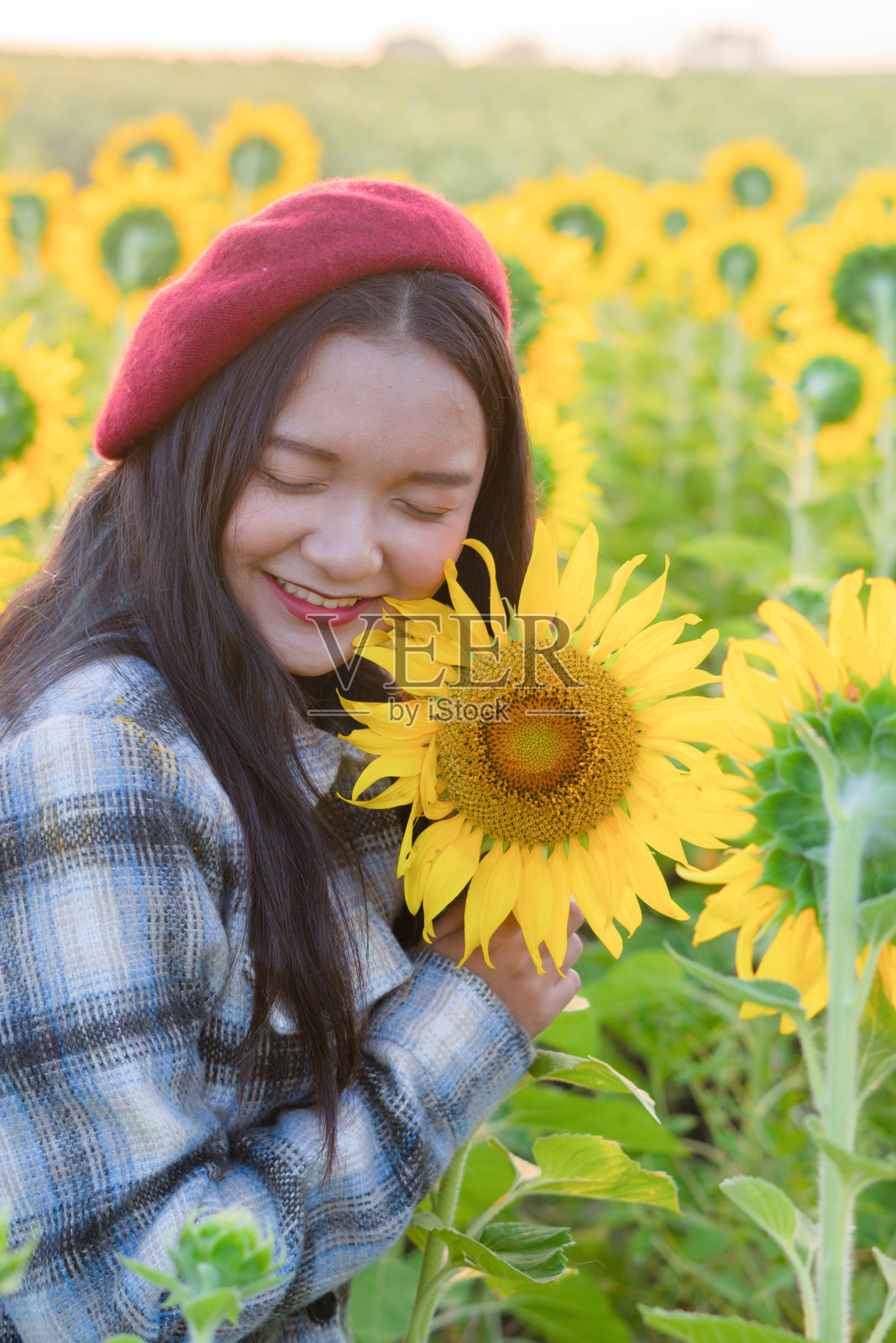 快乐的年轻女孩站在向日葵地里度假。照片摄影图片