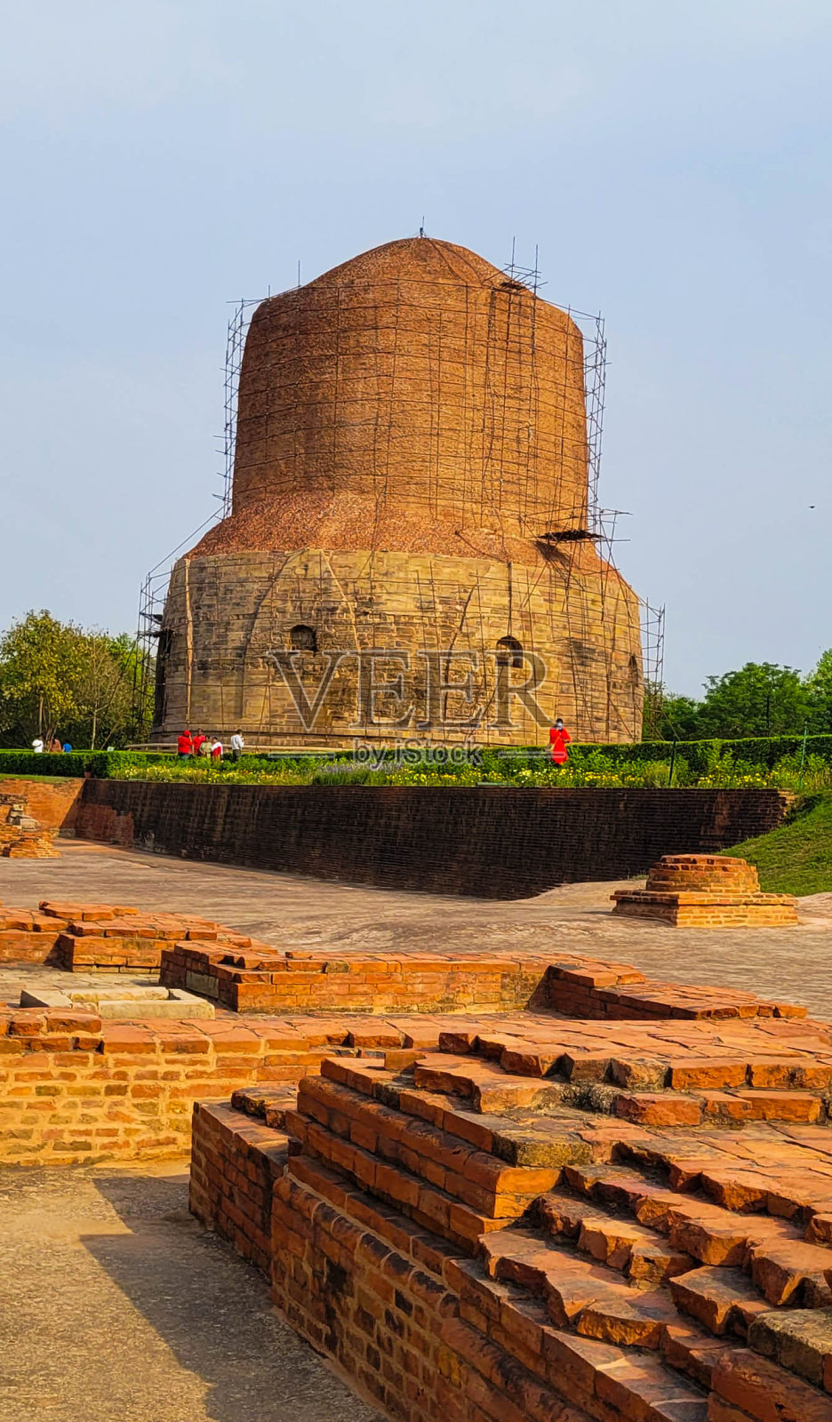 Dhamek佛塔照片摄影图片