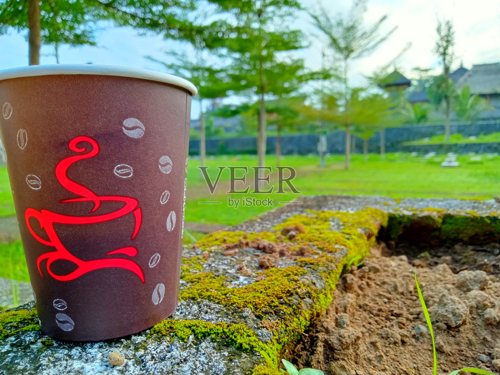 一个装满咖啡的纸杯的特写镜头，背景是城市公园照片摄影图片