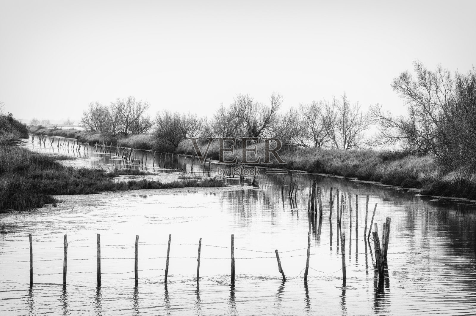 冬季景观内威尼托境内的波河三角洲，斯卡多瓦里萨卡，托尔港，威尼托照片摄影图片