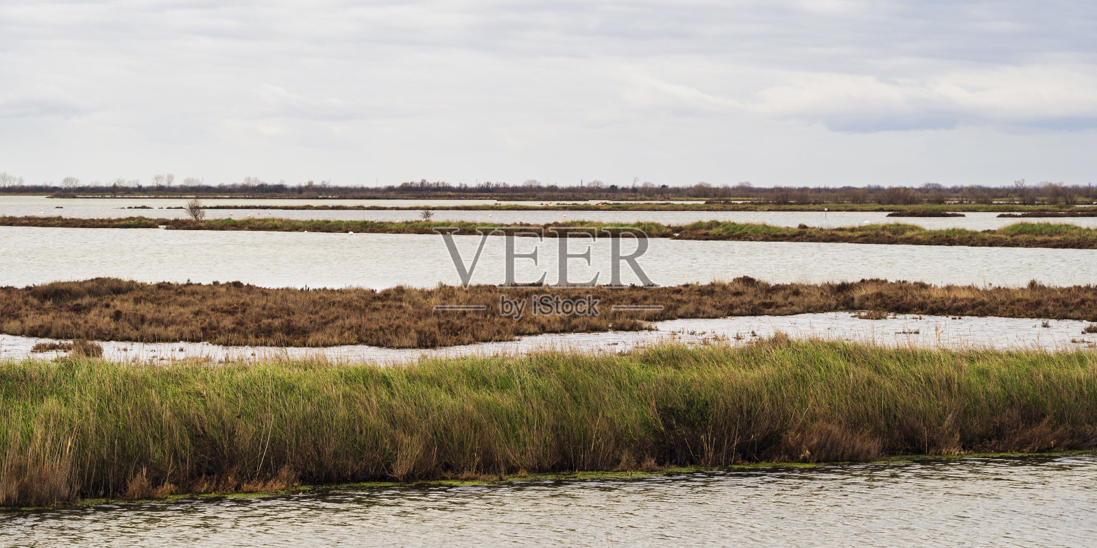 冬季景观内威尼托境内的波河三角洲，斯卡多瓦里萨卡，托尔港，威尼托照片摄影图片