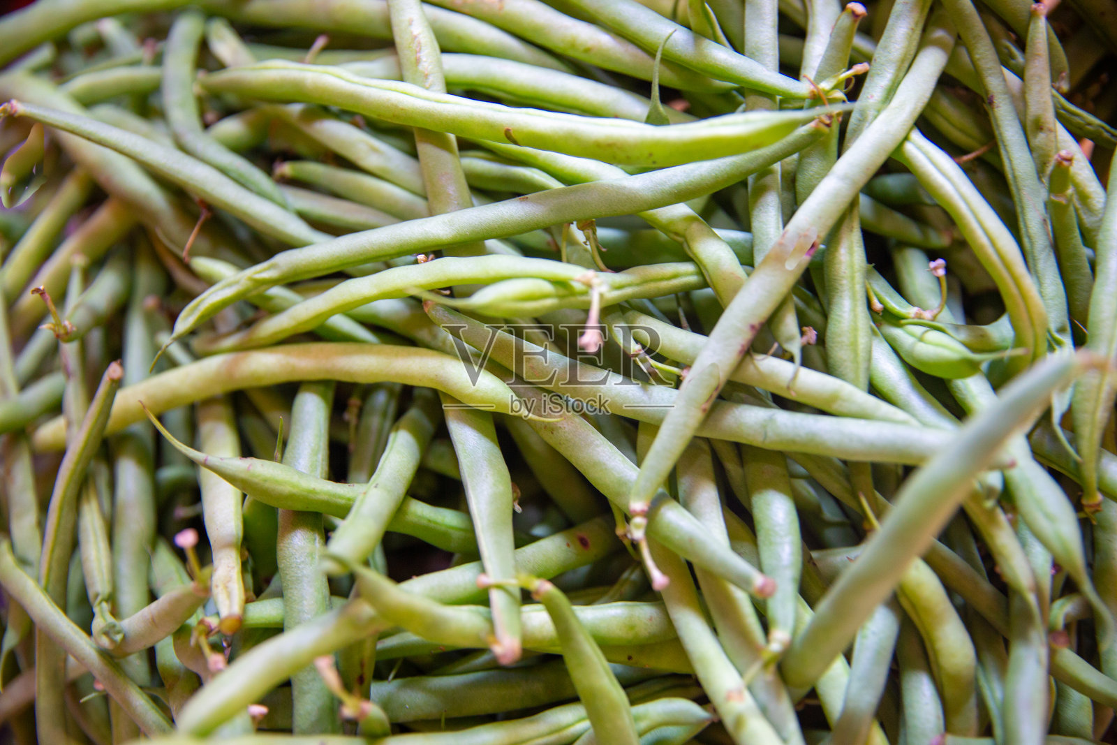 一束青豆照片摄影图片