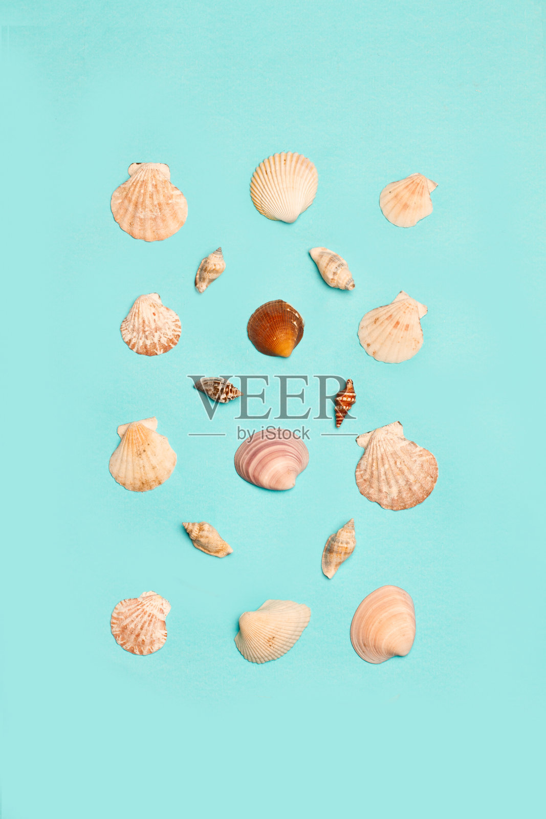 贝壳在绿松石背景与复制空间在顶视图照片摄影图片