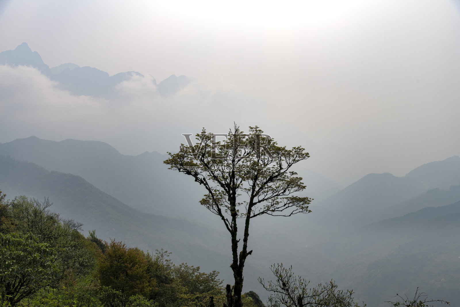 全景山沙帕天门，越南照片摄影图片