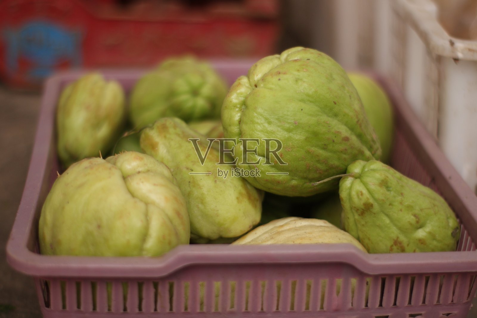 暹罗的南瓜照片摄影图片