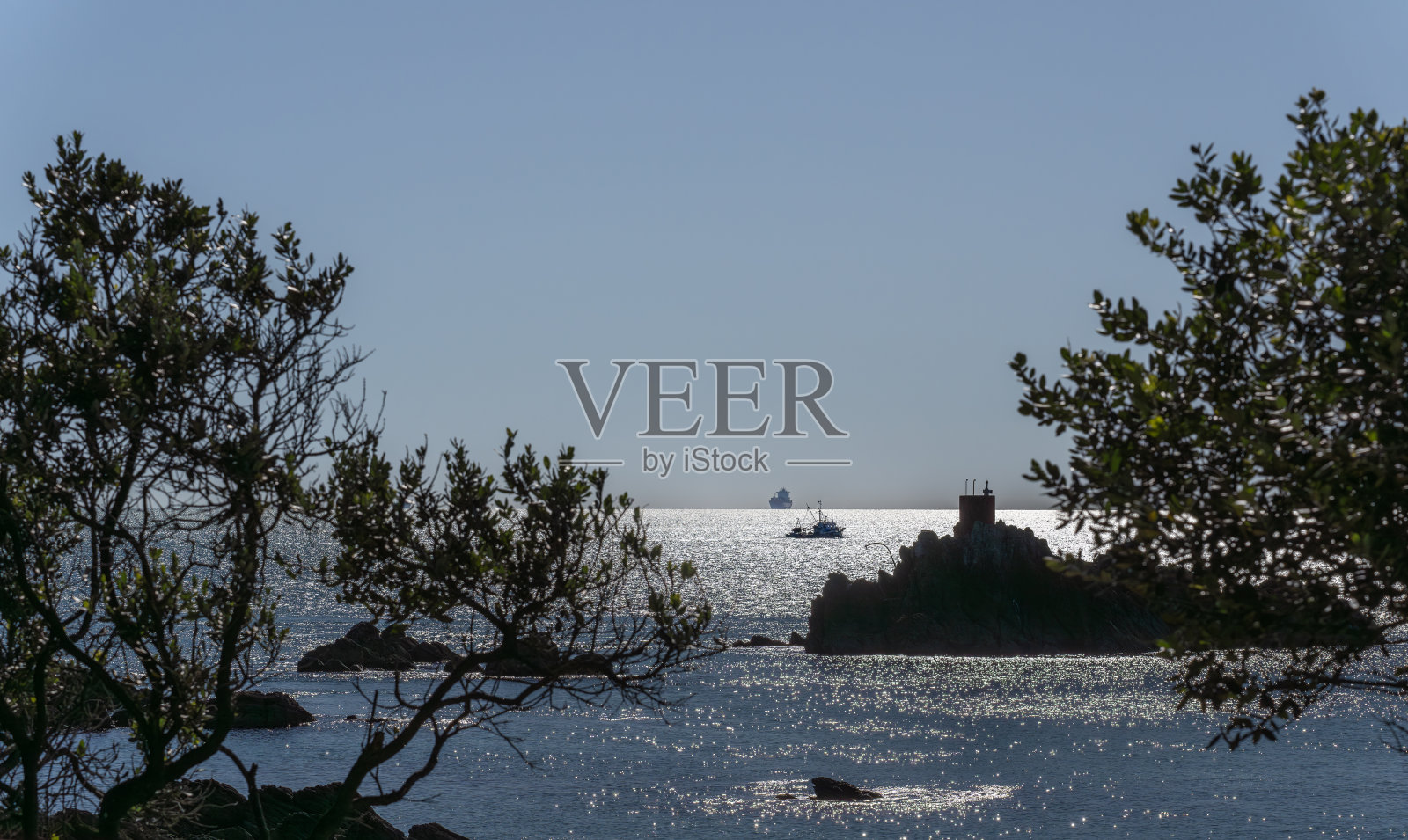 从Maunganui山的基地轨道上，通过剪影pohutukawa俯瞰波光粼粼的大海到地平线照片摄影图片