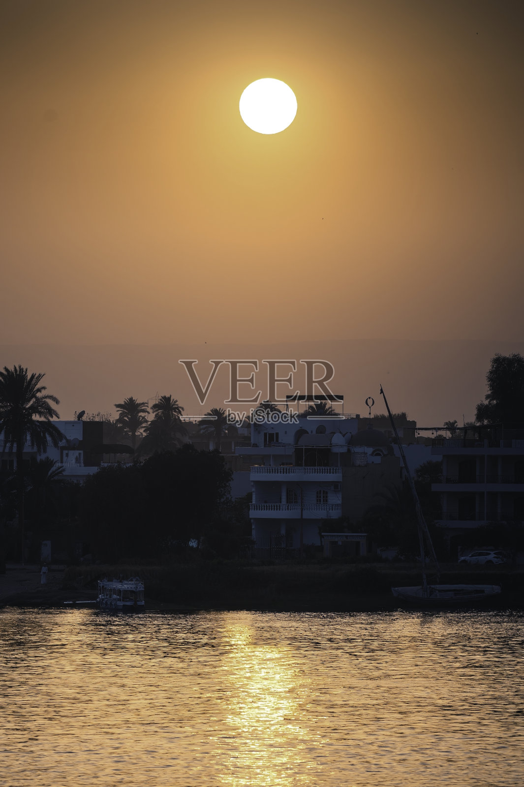 埃及尼罗河畔建筑物和棕榈叶剪影照片摄影图片