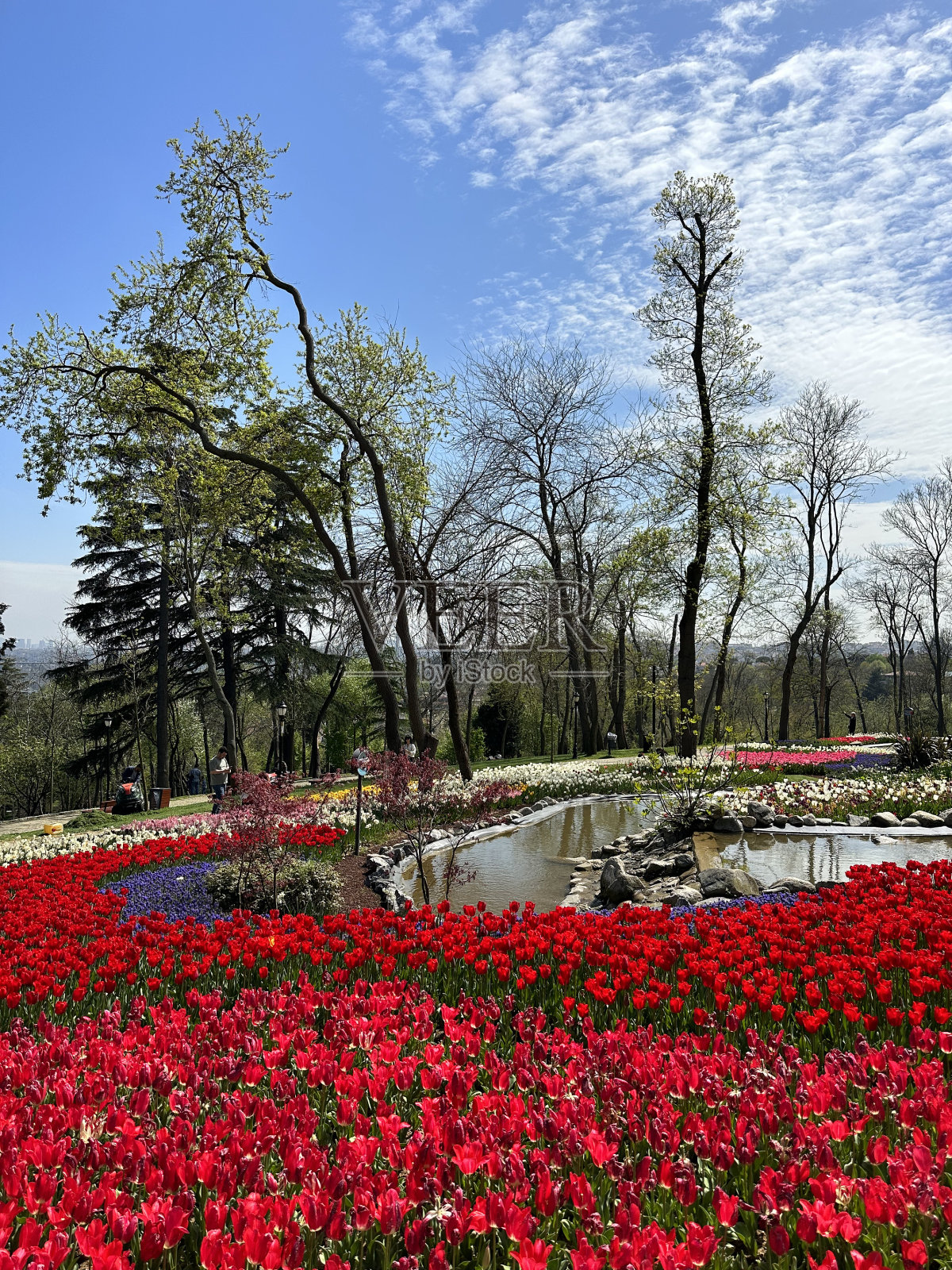 公园，伊斯坦布尔，土耳其照片摄影图片