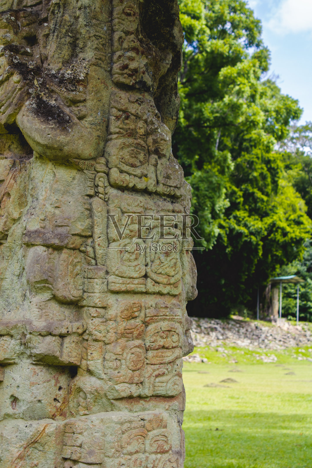 Copán的玛雅遗址照片摄影图片