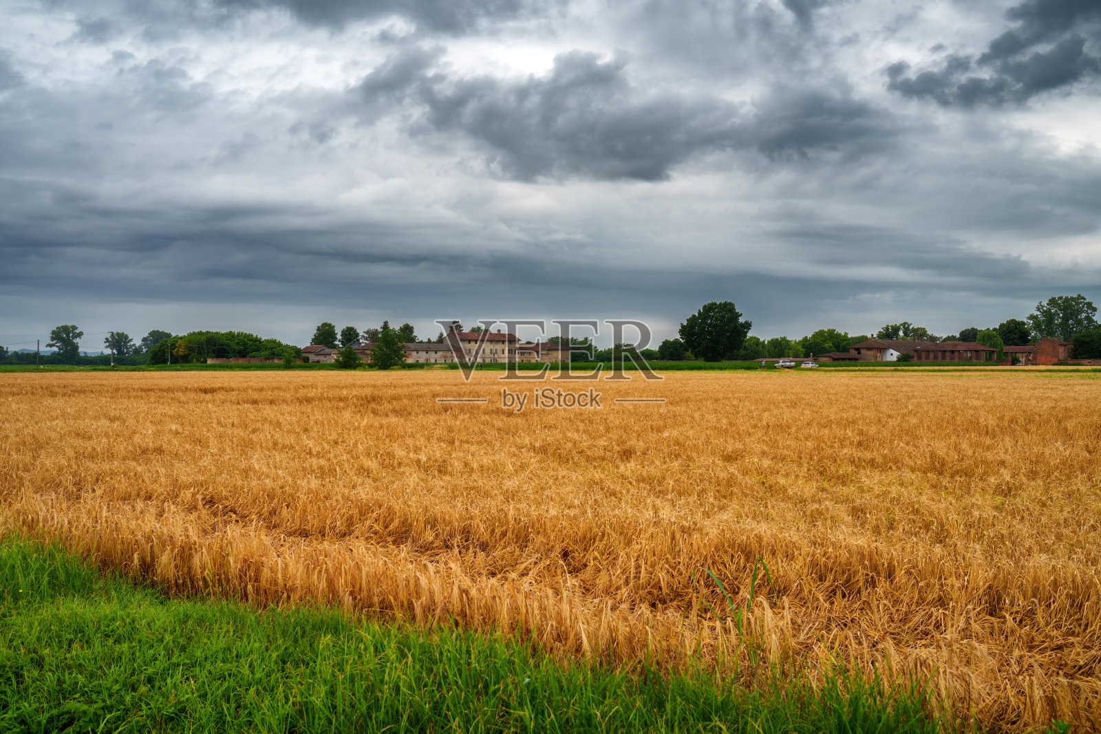 帕维亚省Borgarello附近的乡村景观照片摄影图片