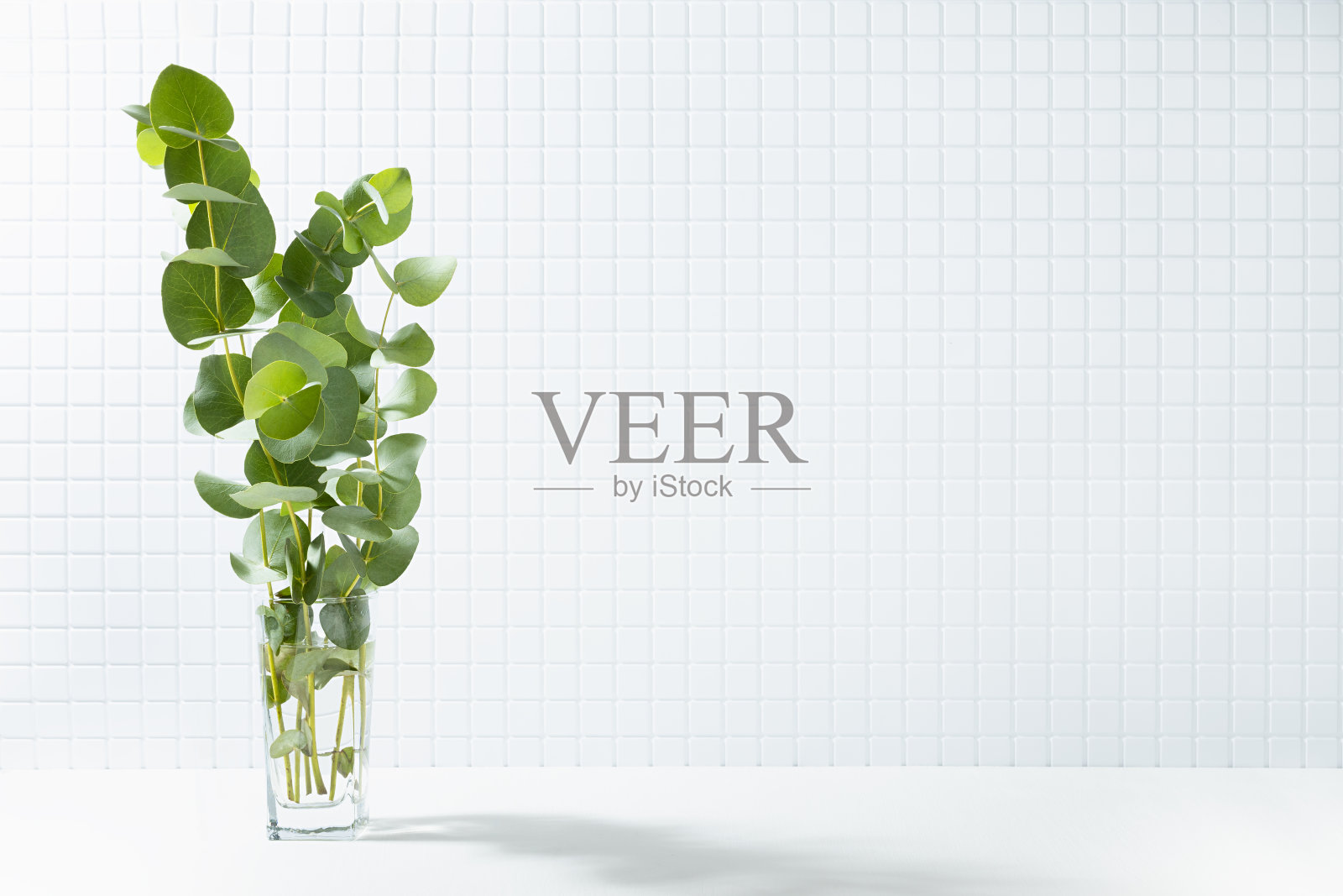 优雅的春天浴室，在白色瓷砖墙上的阴影和阳光下，花瓶里的绿色桉树叶子，复制空间。温柔的室内背景，展示化妆品，水疗，设计。照片摄影图片