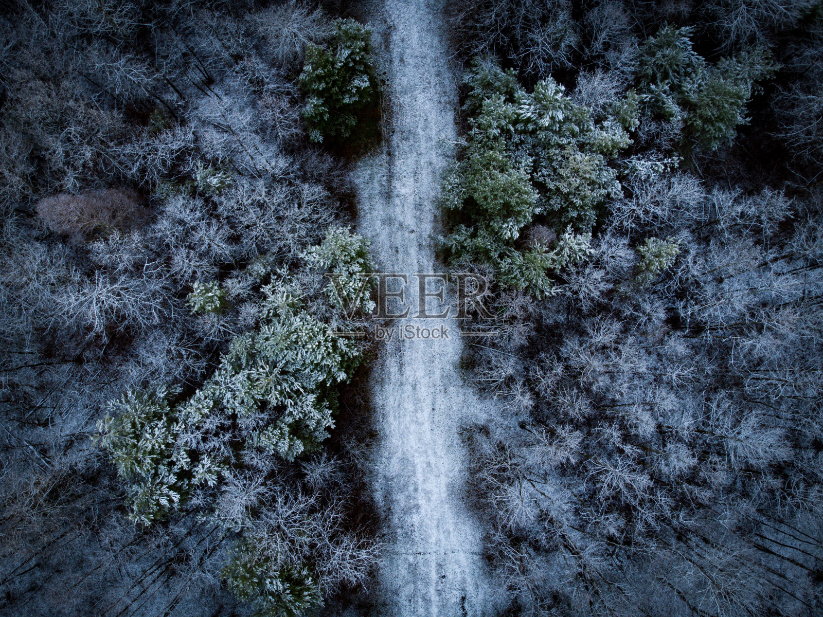 鸟瞰图中的森林覆盖在雪和树木在农村照片摄影图片