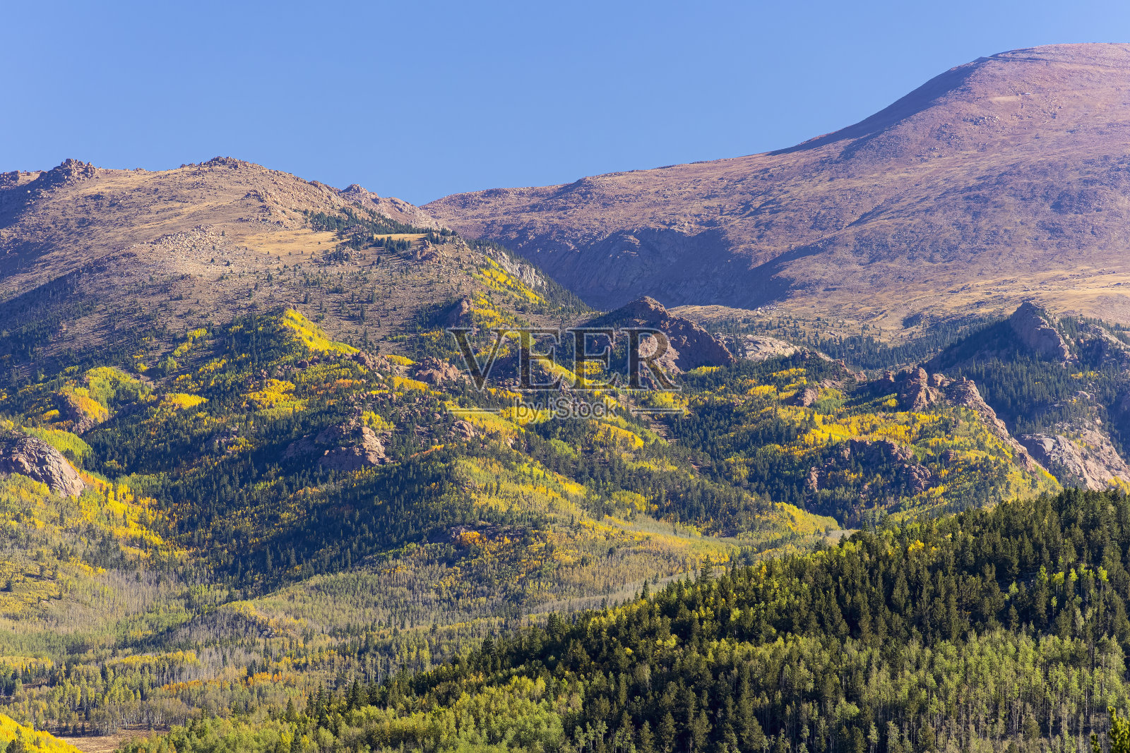 秋派克峰照片摄影图片