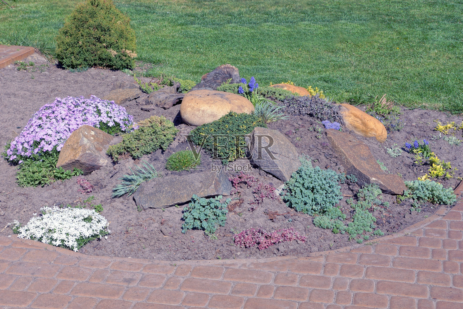 灰色泥土的圆形花坛，点缀着彩色的石头和花朵照片摄影图片