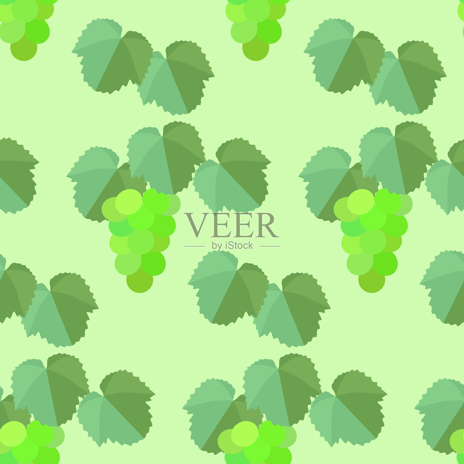 无缝图案的白葡萄插画图片素材