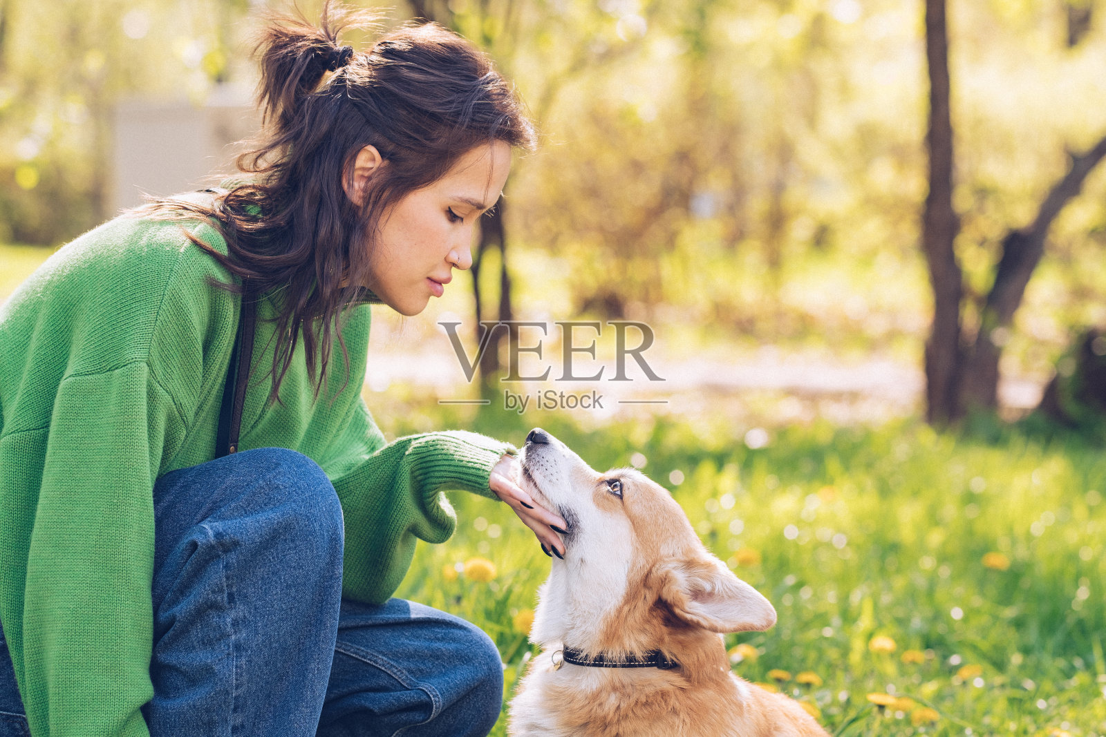 一个穿着绿色毛衣的白人妇女和柯基犬在公园里的肖像照片摄影图片