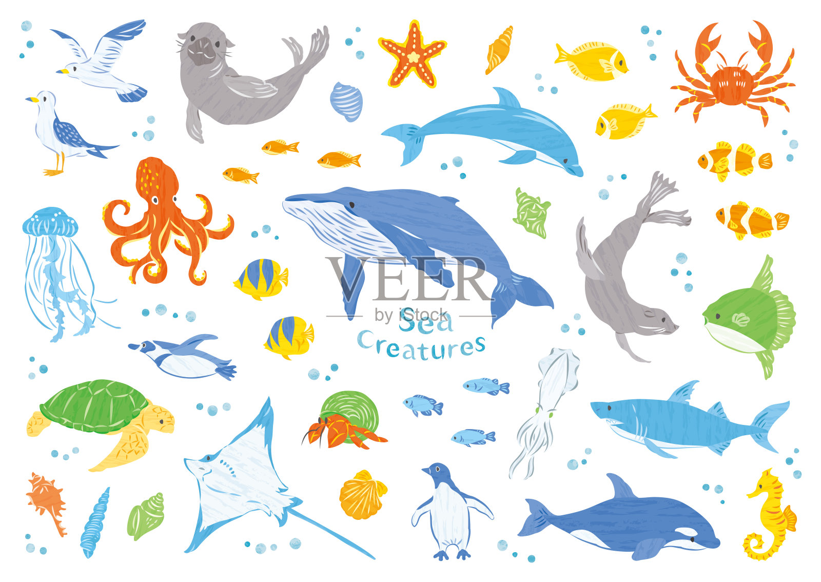 海洋生物插图集线条绘制插画图片素材