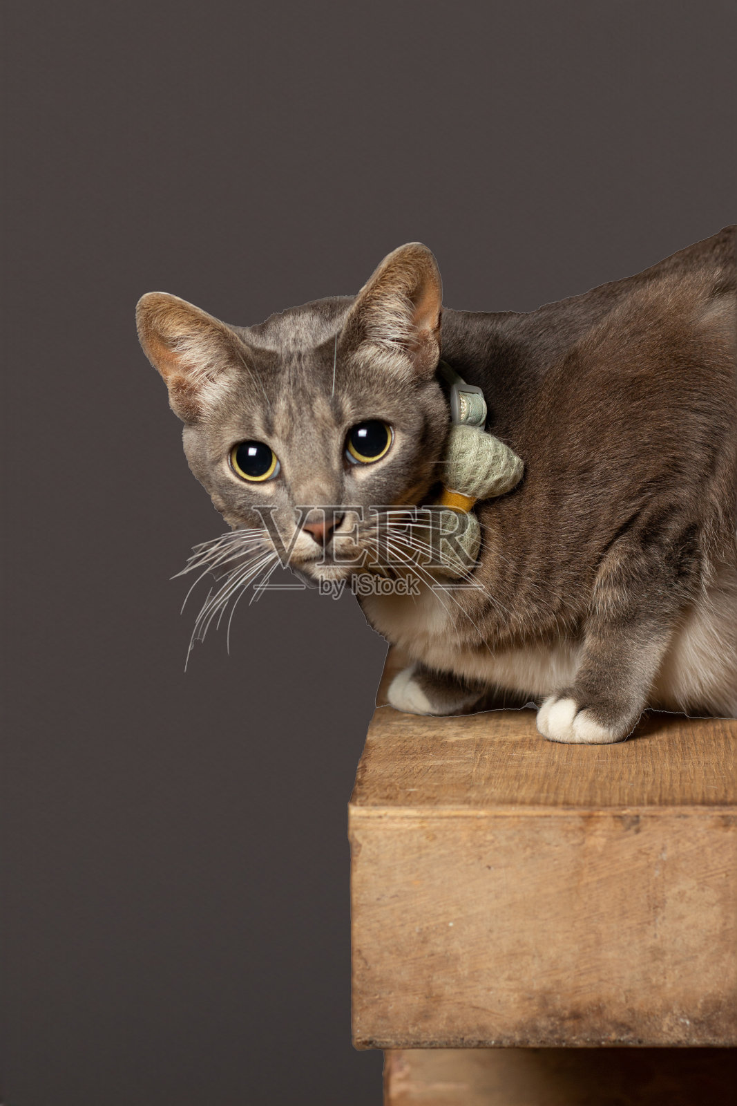 Jhonatan Patino照片摄影图片