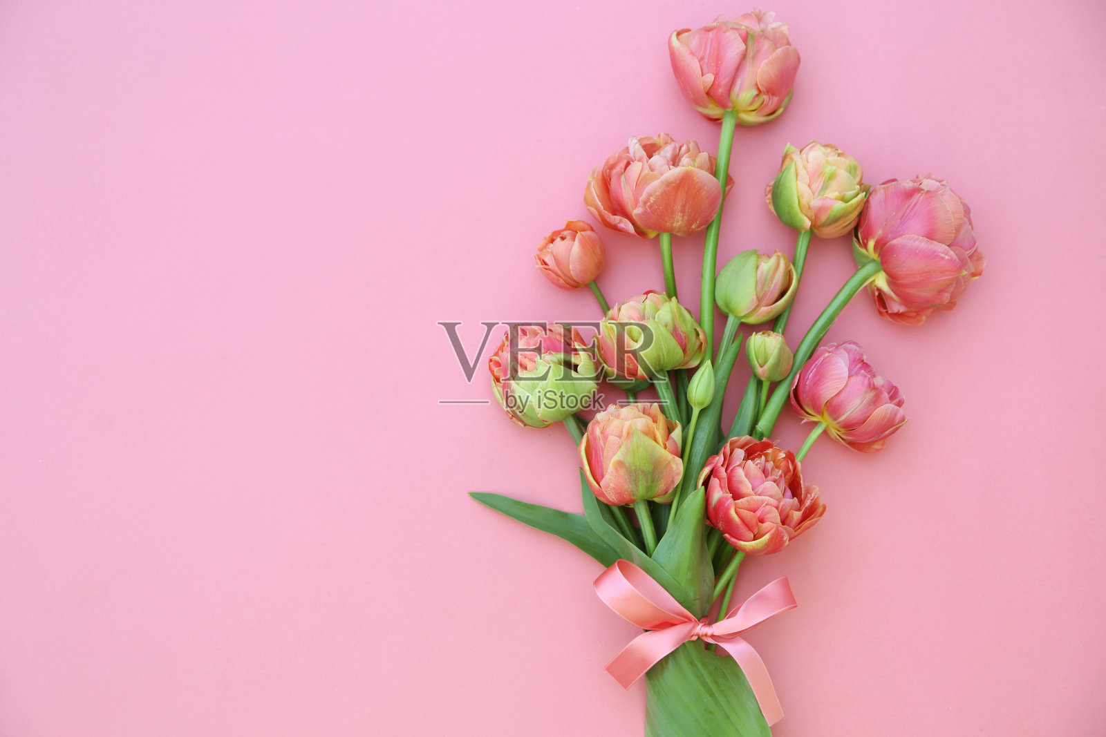 郁金香照片摄影图片