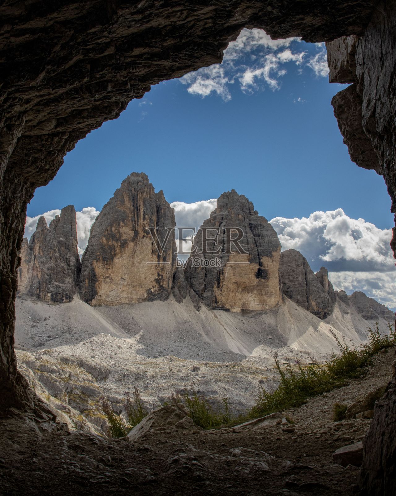 意大利蔚蓝的天空和阳光下的拉瓦雷多树照片摄影图片