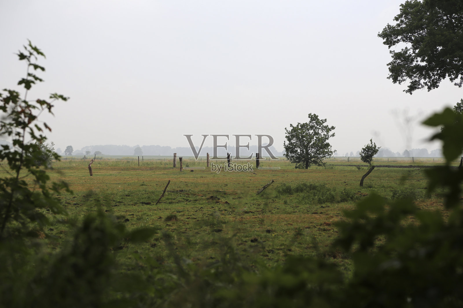 Worpswede照片摄影图片