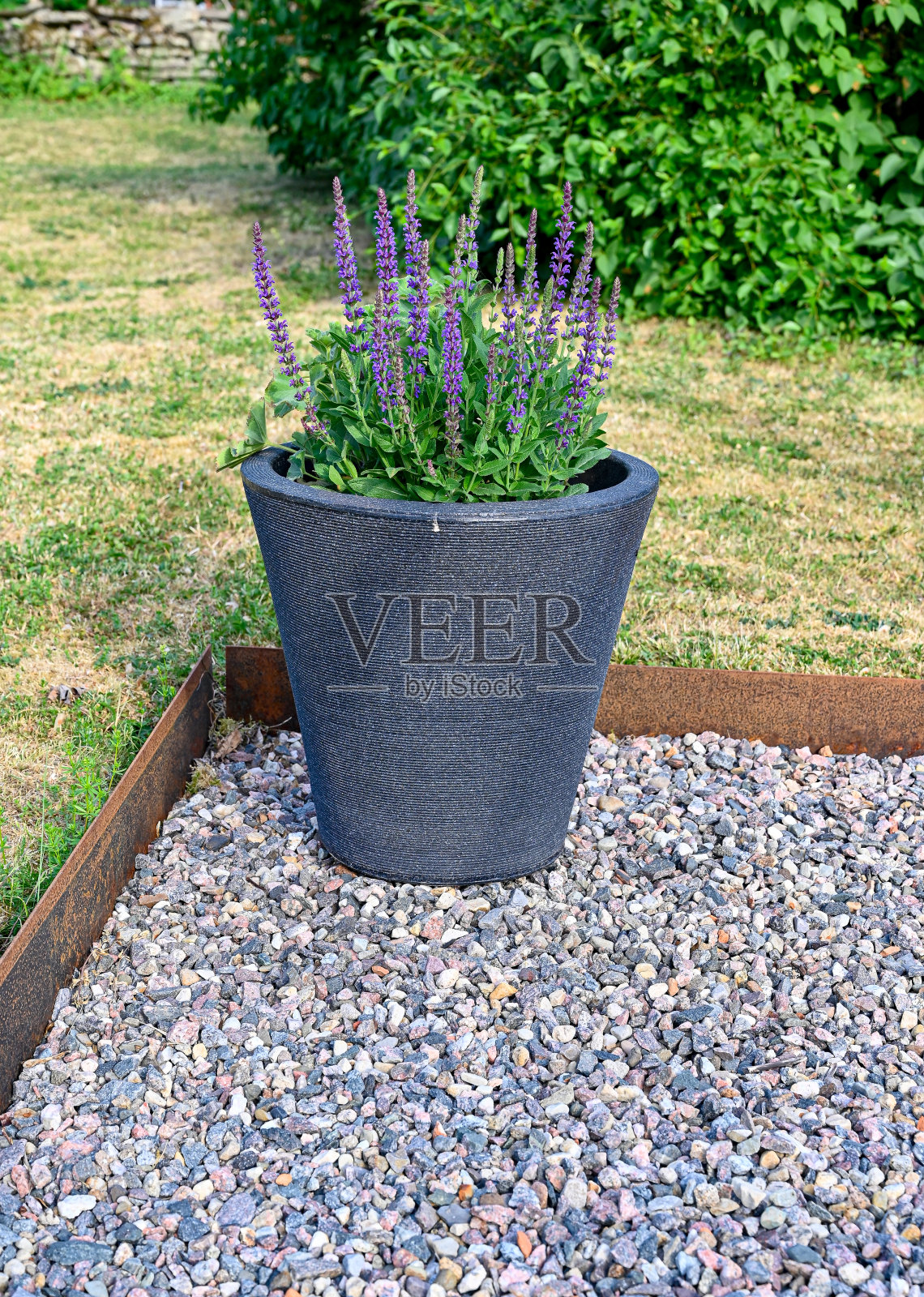 花盆在砾石和耐候钢上照片摄影图片