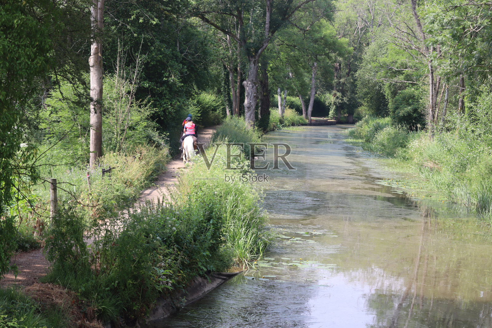 Horserider照片摄影图片