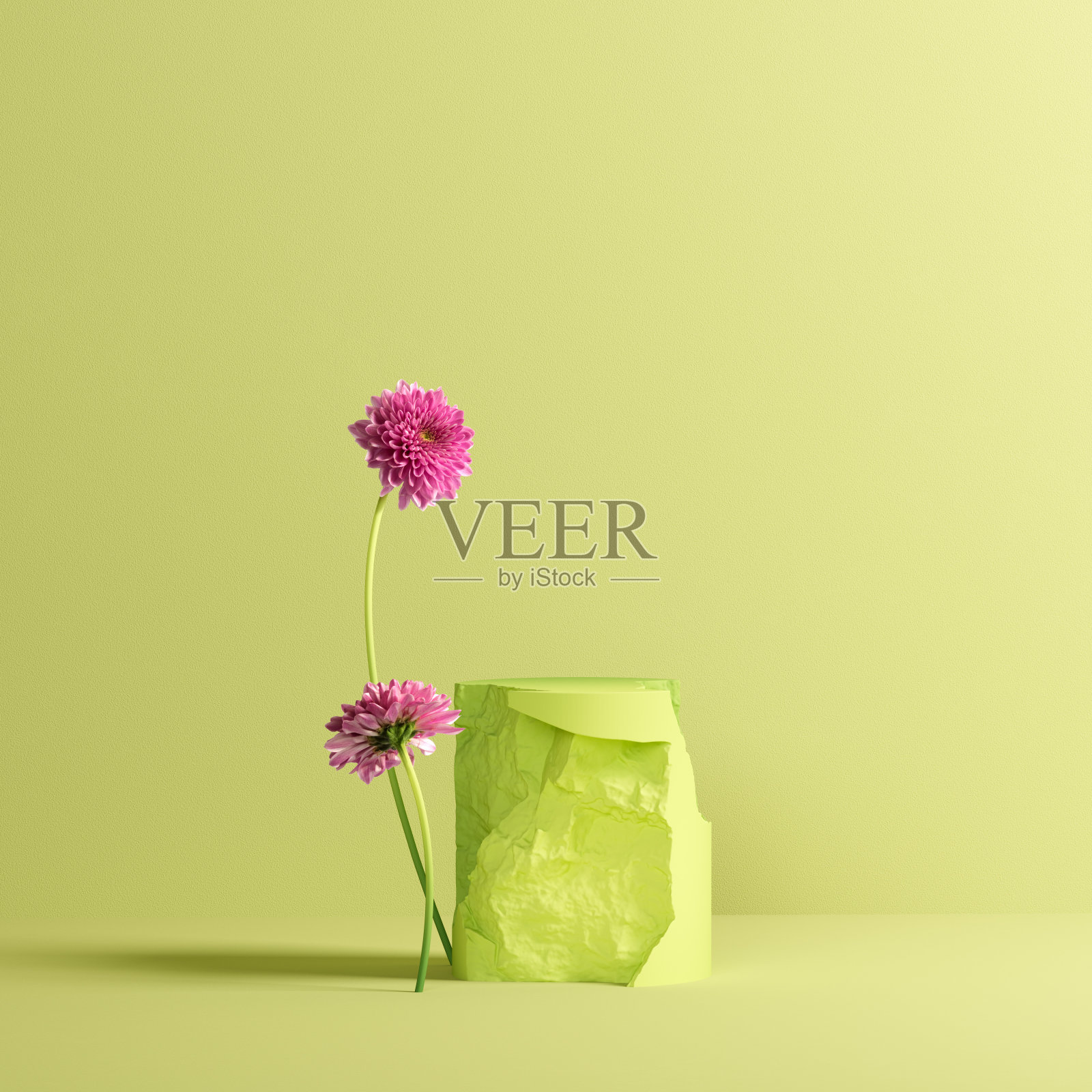 有机产品显示绿色3d渲染背景，石材元素和盛开的花朵装饰照片摄影图片