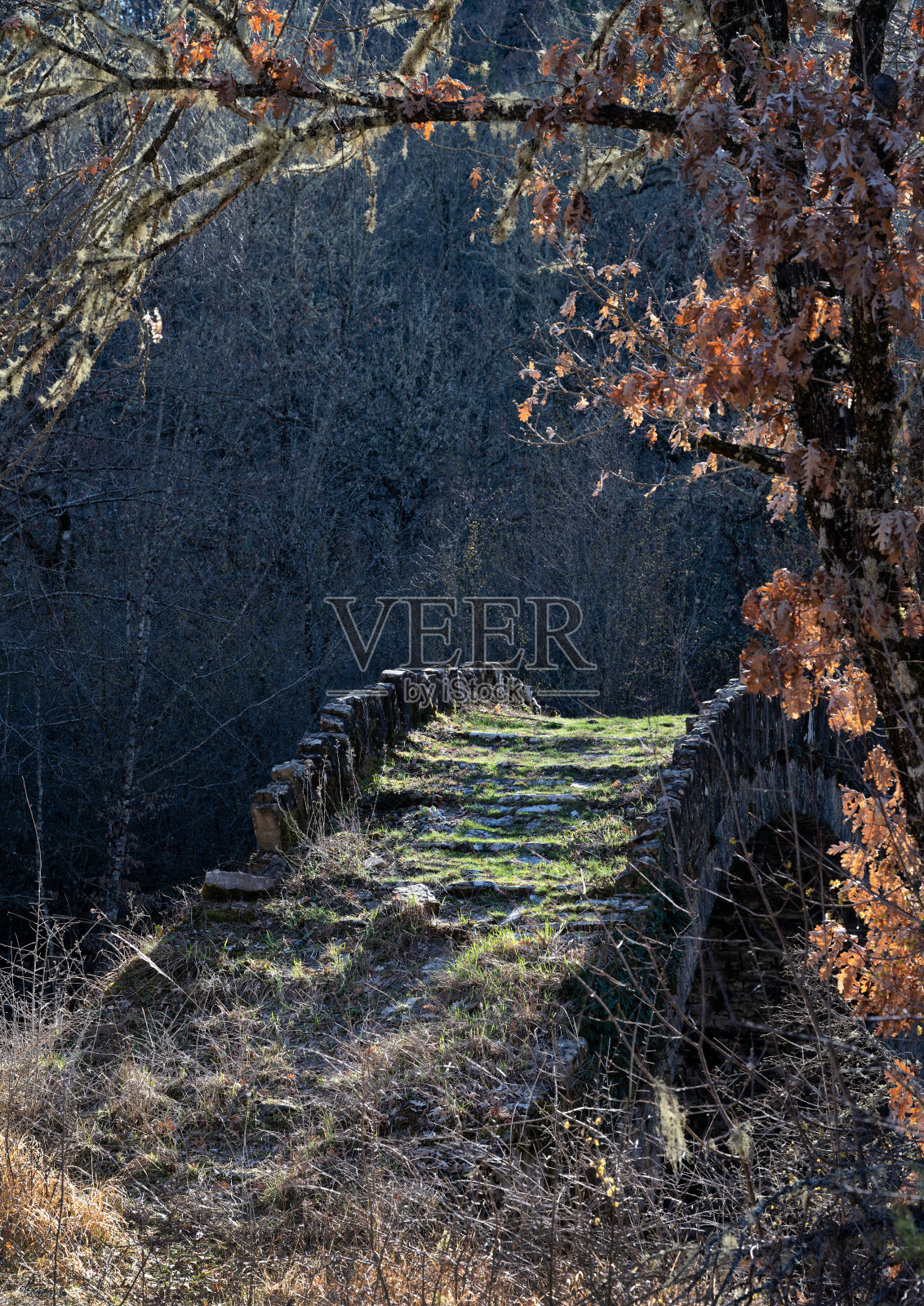 希腊扎戈里的老桥照片摄影图片