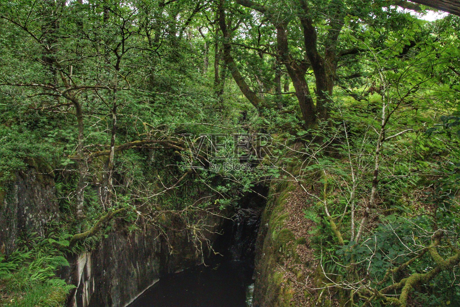 格伦·特罗尔，邓弗里斯和加洛韦照片摄影图片