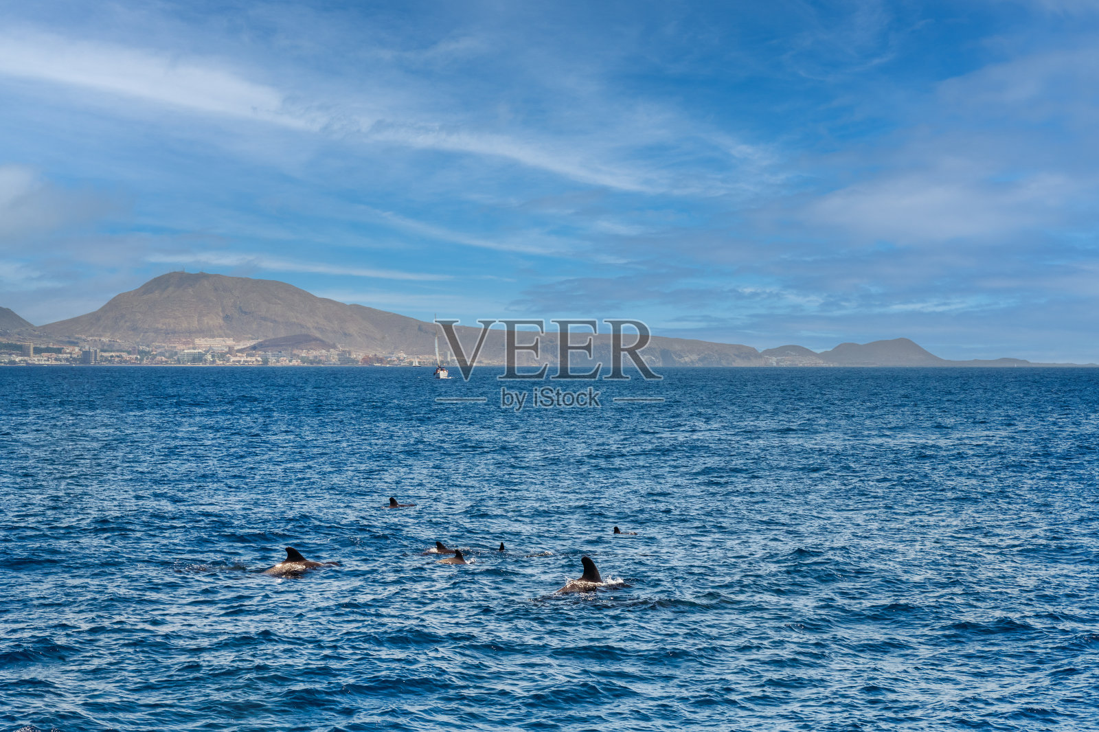 前方是半兽人。背景是西班牙加那利群岛特内里费岛的阿德耶海岸照片摄影图片