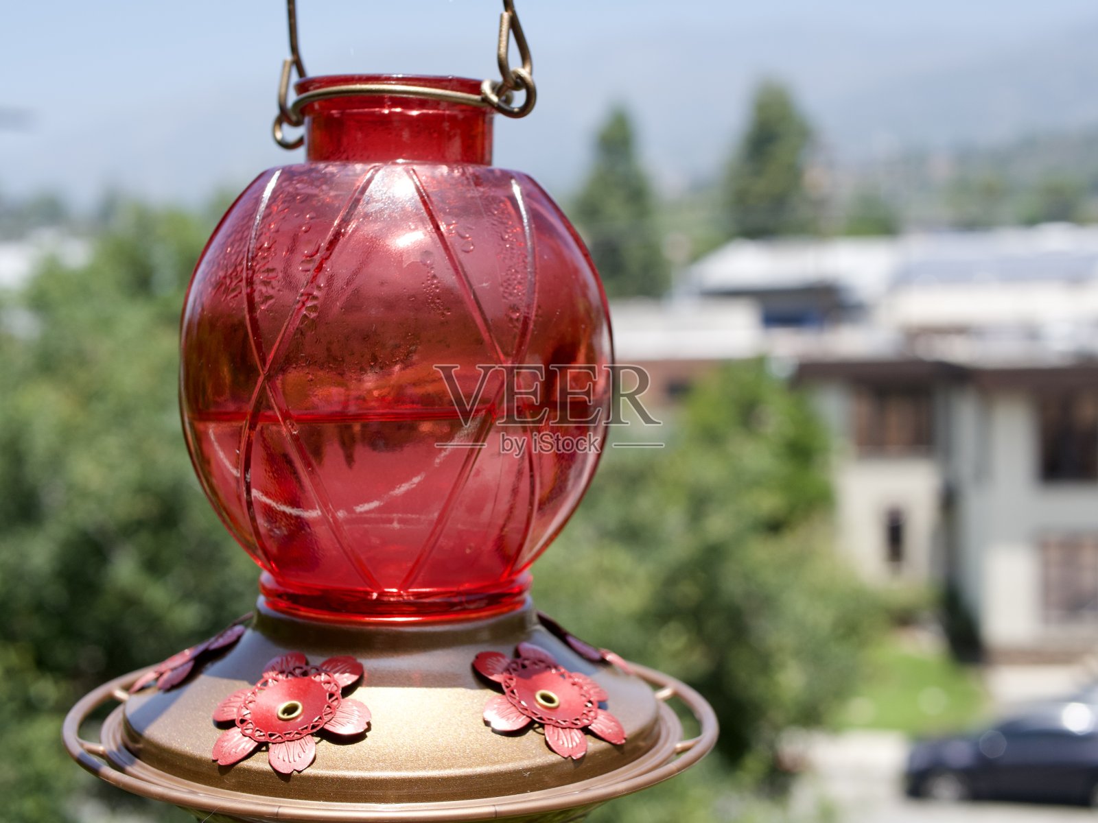 一个红色的蜂鸟喂食器照片摄影图片