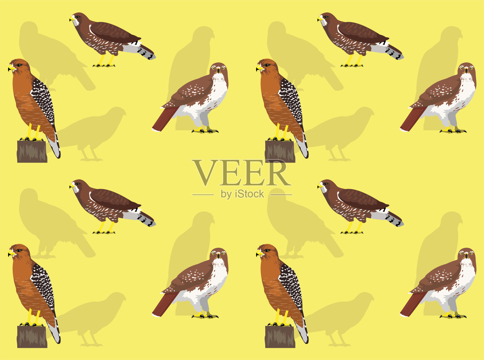 猎鹰红尾鹰可爱的卡通姿势无缝壁纸背景插画图片素材