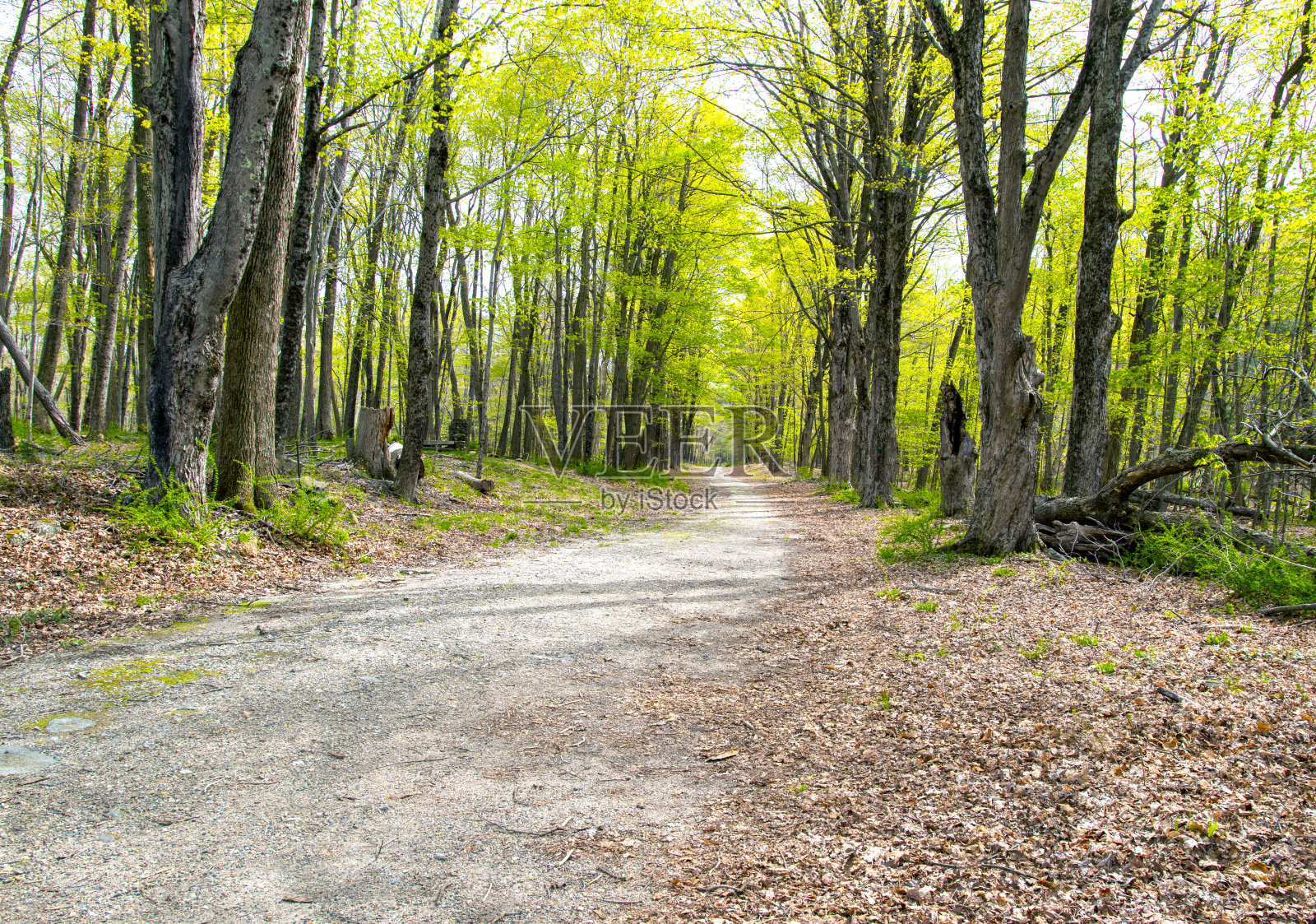 春天的一天，我来到了夸宾水库照片摄影图片