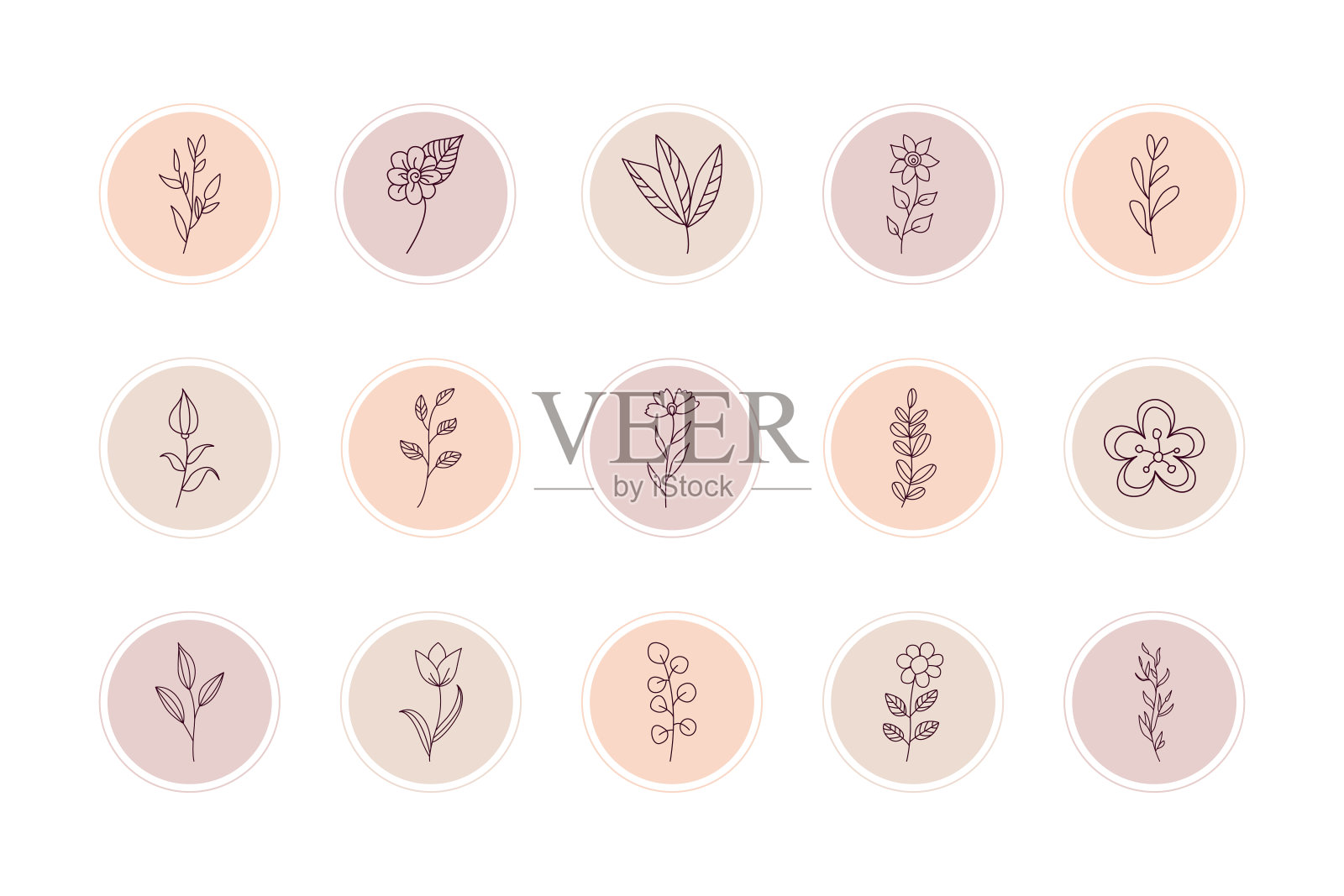 突出显示封面图标。突出故事封面集，抽象的花卉植物图标的社交媒体插画图片素材