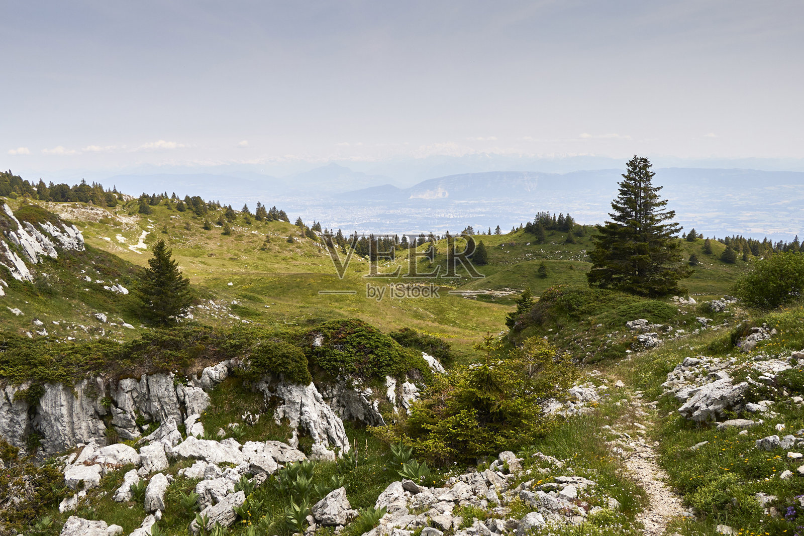 侏罗山脉的Crêt de la Neige。照片摄影图片