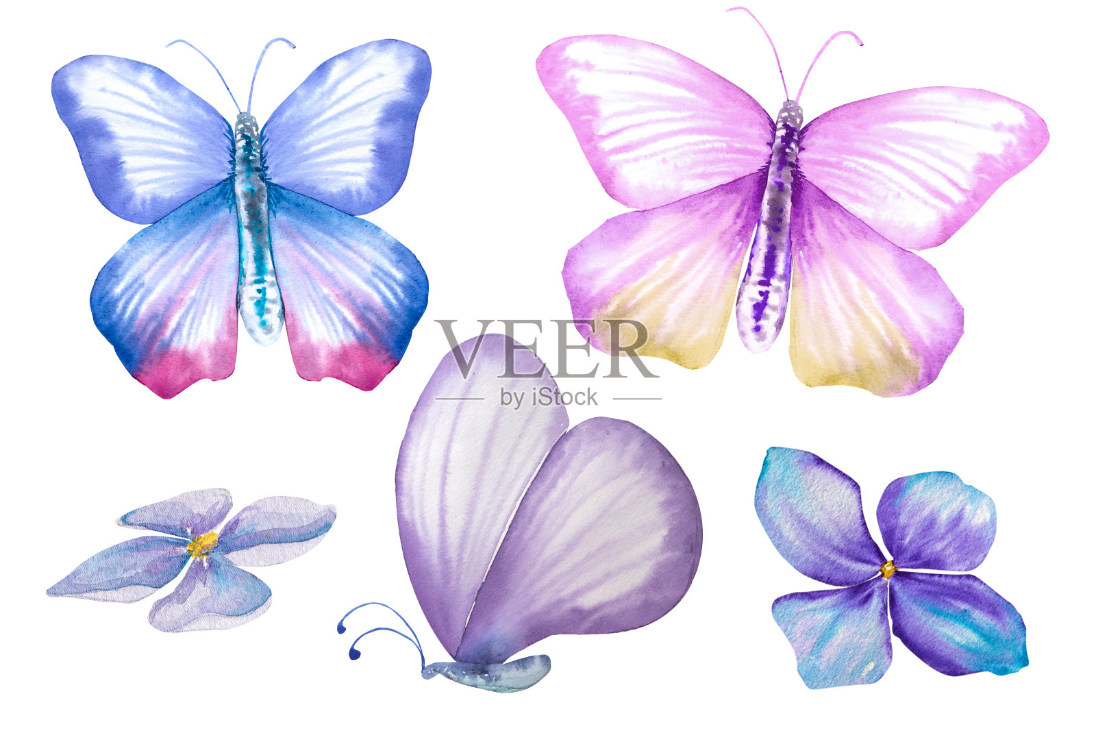 蝴蝶水彩画。可爱的蝴蝶可以用来做明信片、封面、请柬插画图片素材