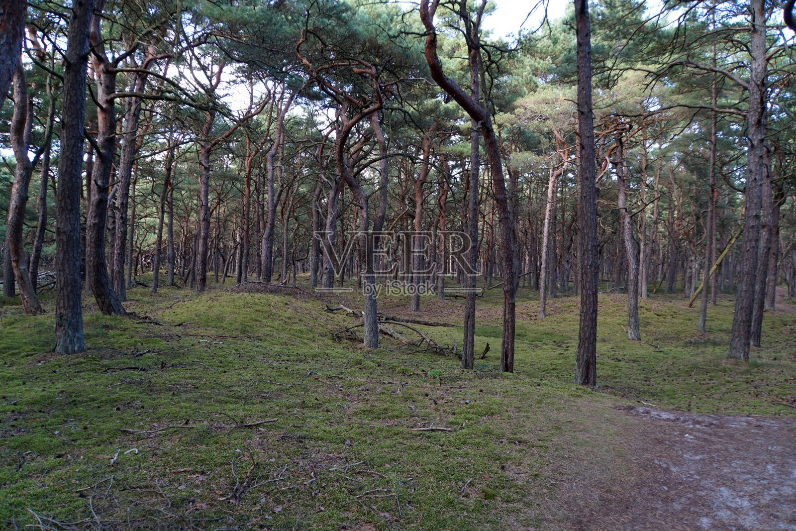 风景照片摄影图片